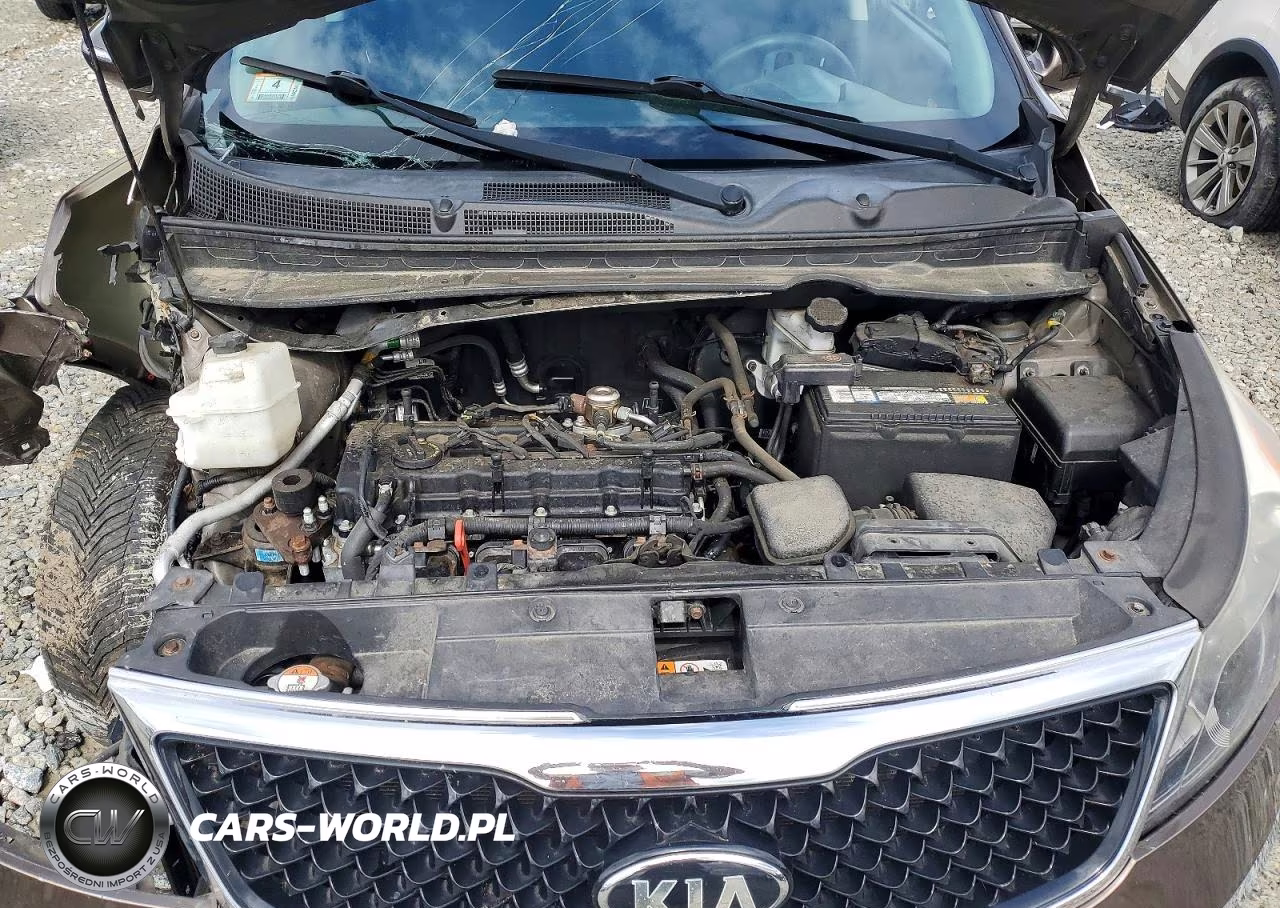 2015 Kia Sportage Lx VIN:KNDPBCAC9F7713675 - 12