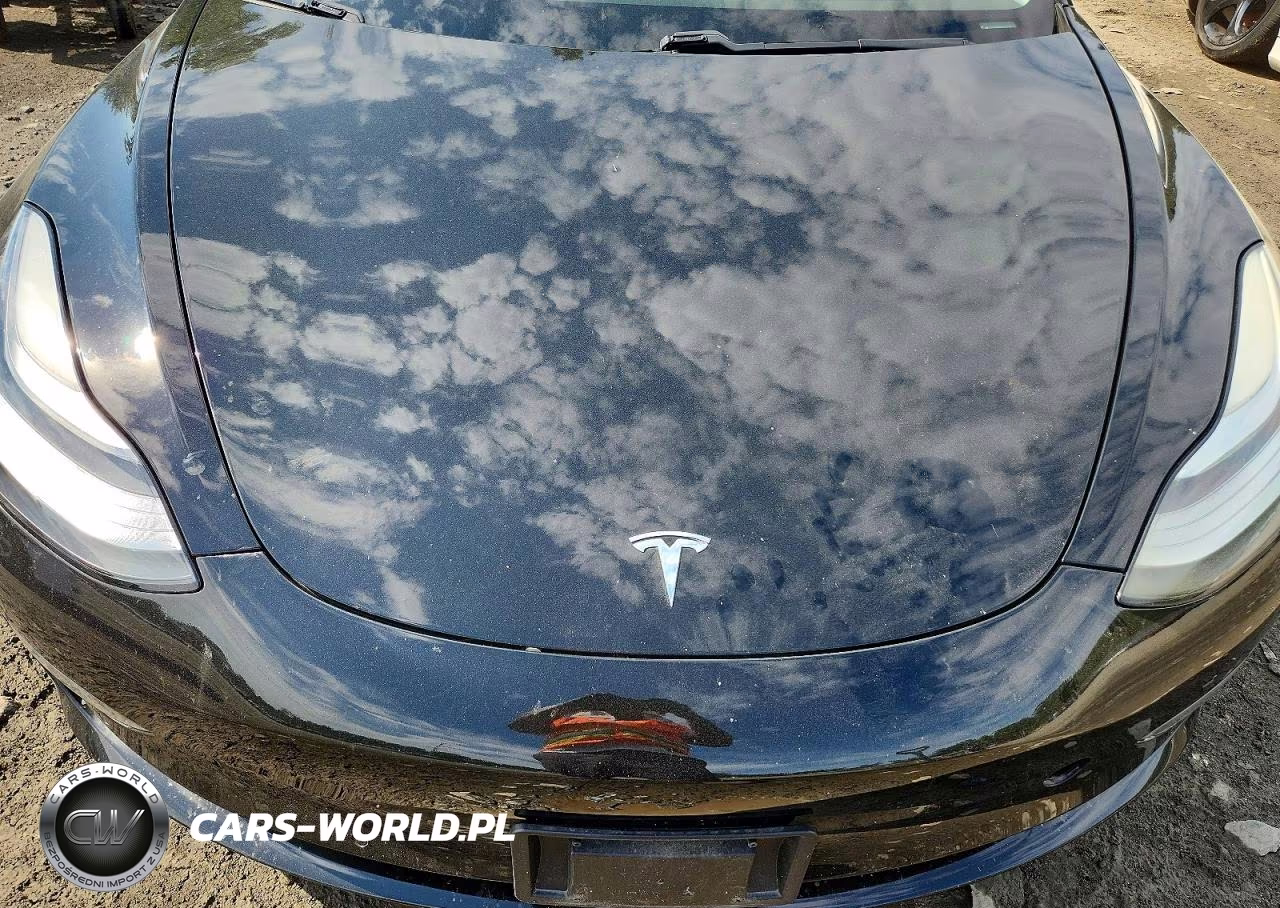 2019 Tesla Model 3 VIN:5YJ3E1EB8KF237502 - 11