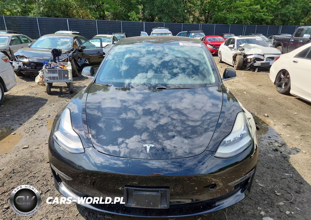 2019 Tesla Model 3 VIN:5YJ3E1EB8KF237502 - 5