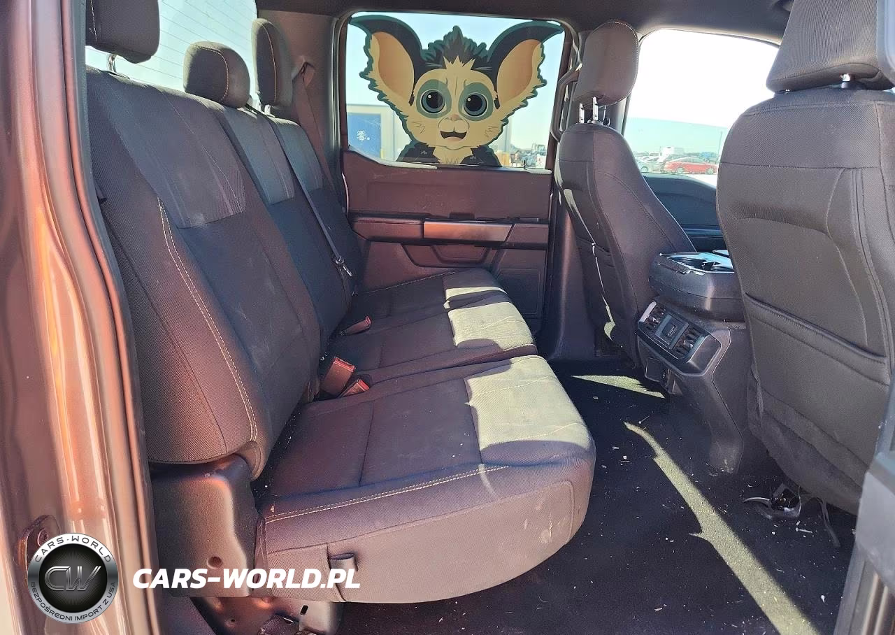 2024 Ford F150 Stx VIN:1FTEW2K59RKD64413 - 10