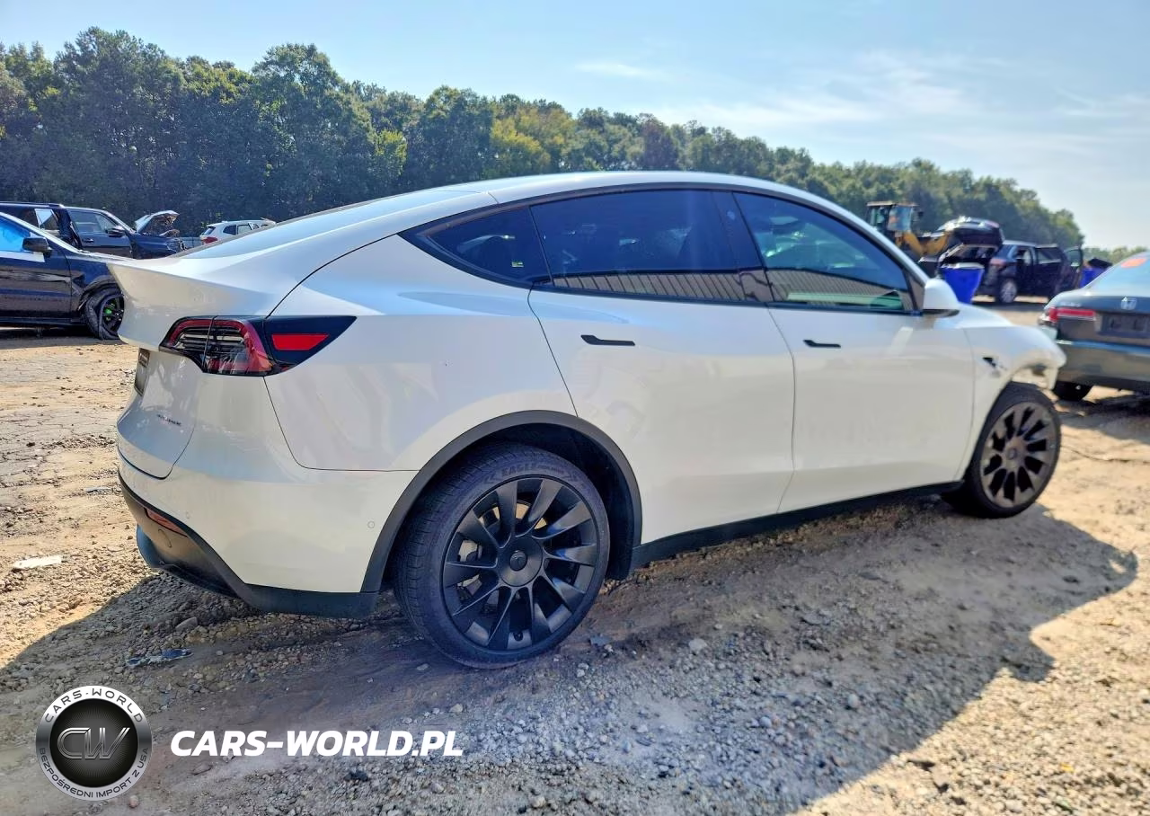 2022 Tesla Model Y VIN:7SAYGDEE4NF439742 - 3