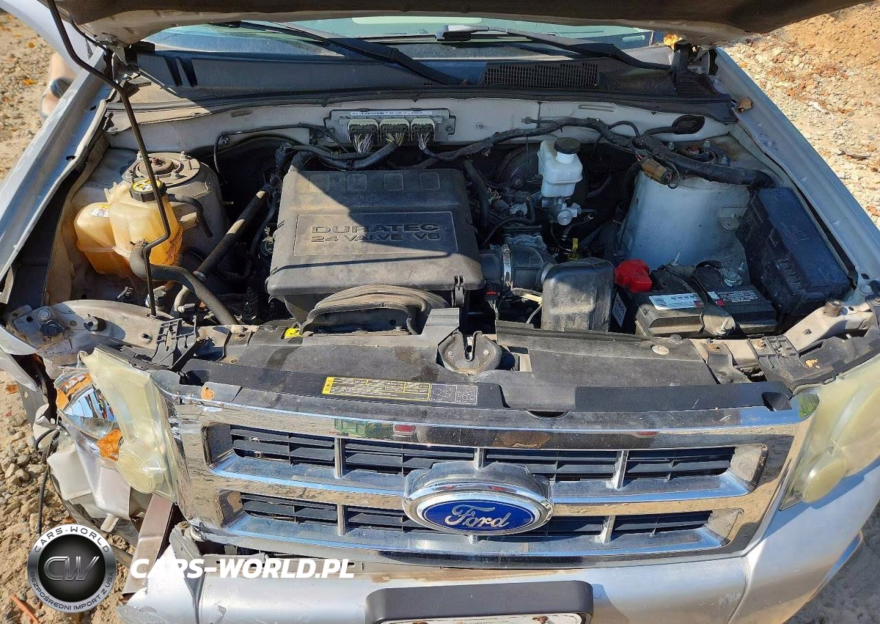 2010 Ford Escape Xlt VIN:1FMCU0DG8AKD09788 - 12