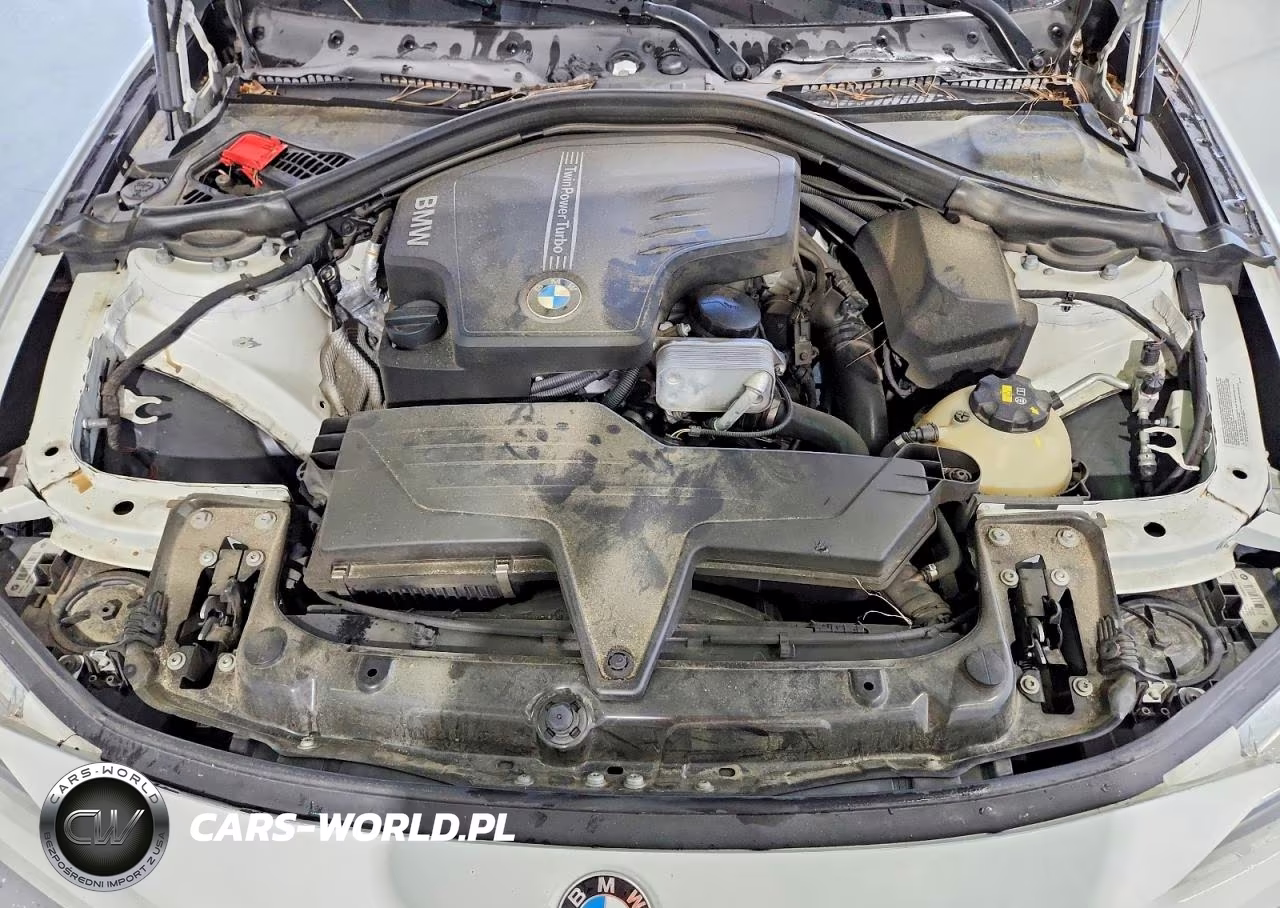 2016 BMW 320 I VIN:WBA8A9C54GK615612 - 11
