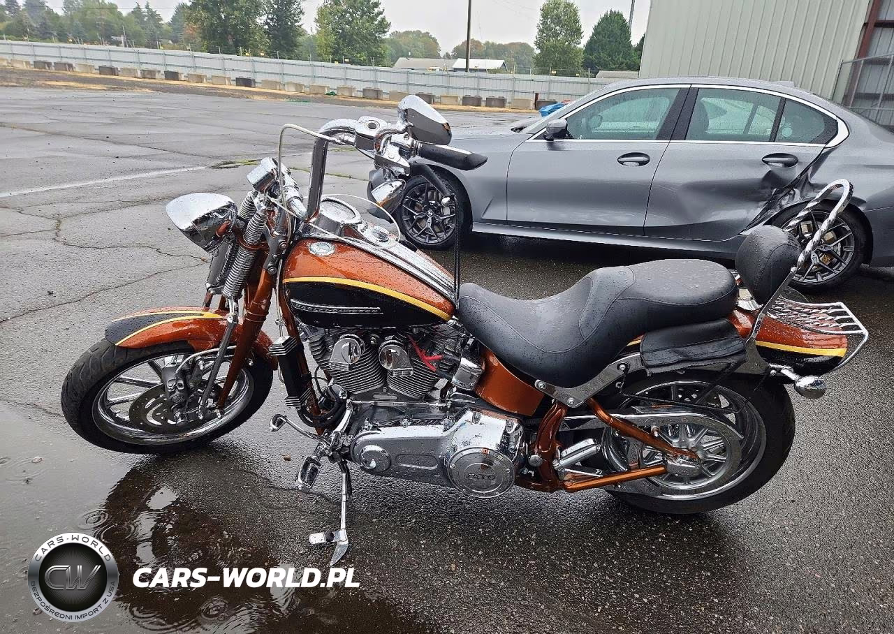 2008 Harley-Davidson Fxstsse2 105Th Anniversary Edition VIN:1HD1PT9418Y952346 - 3