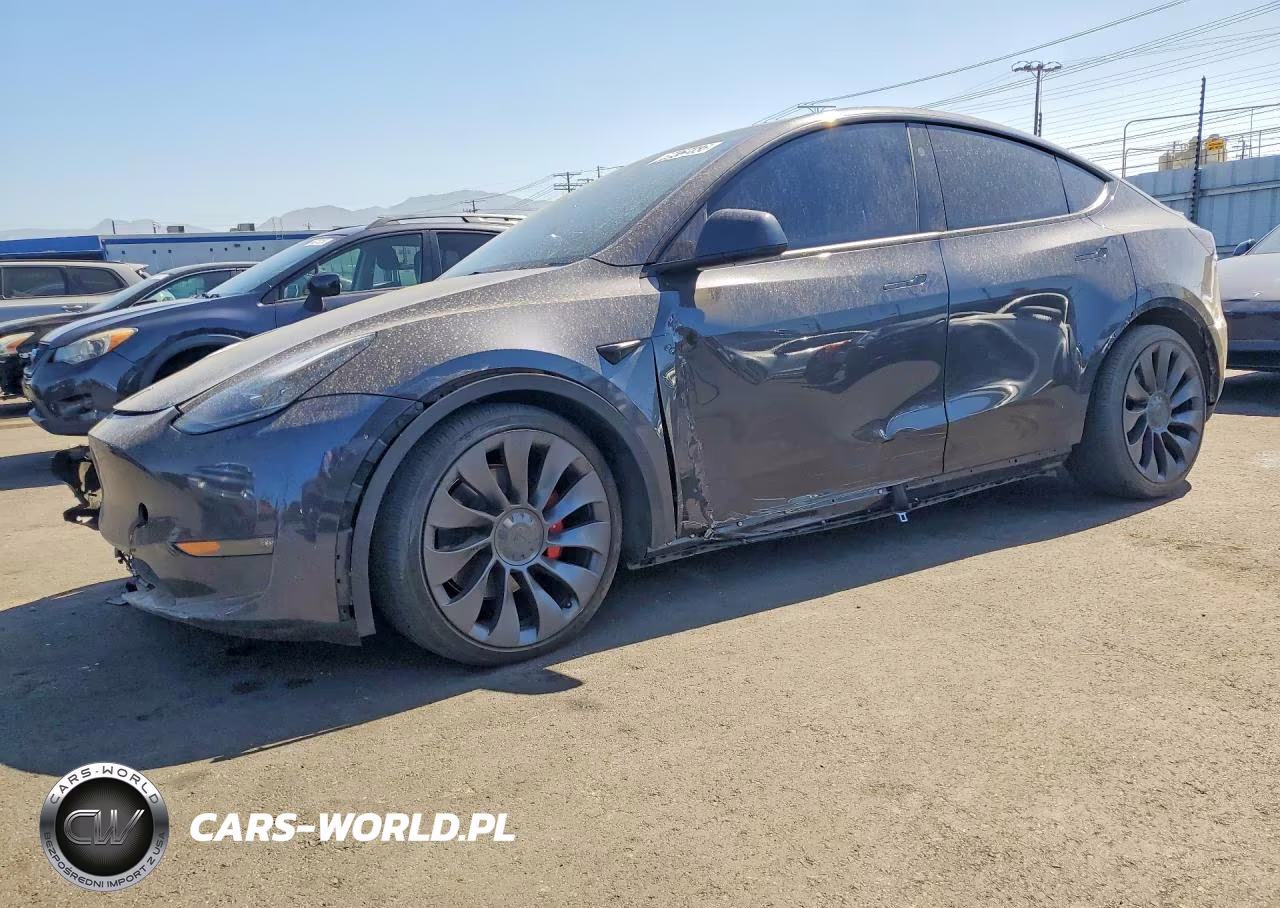 2024 Tesla Model Y