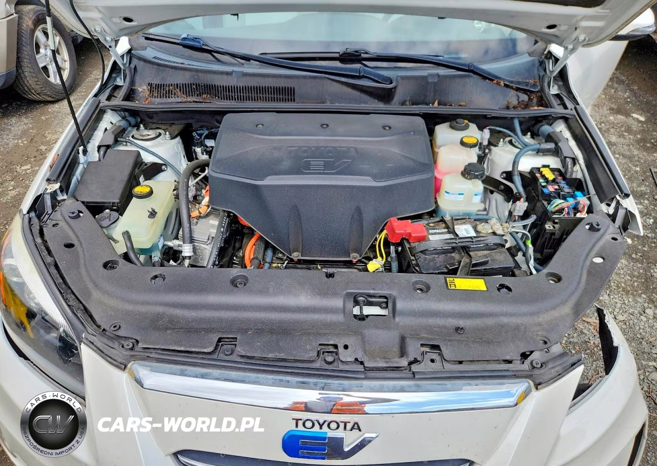 2014 Toyota Rav4 Ev VIN:2T3YL4DV0EW003068 - 11