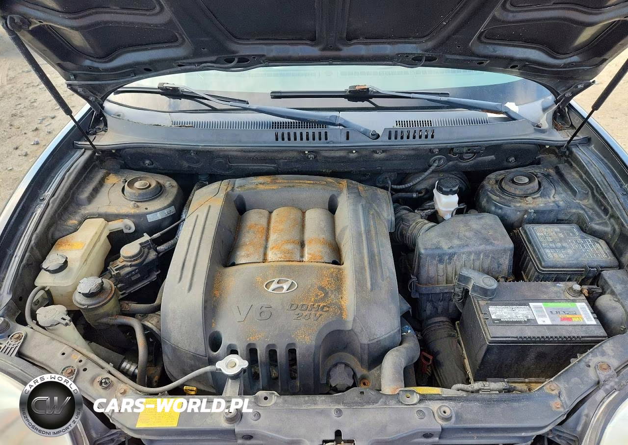 2003 Hyundai Santa Fe Gls VIN:KM8SC73D13U547102 - 12