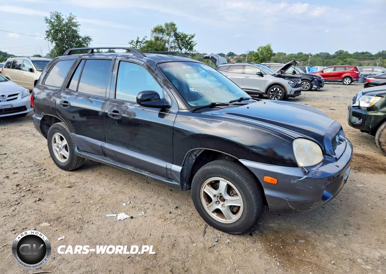 2003 Hyundai Santa Fe Gls VIN:KM8SC73D13U547102 - 4