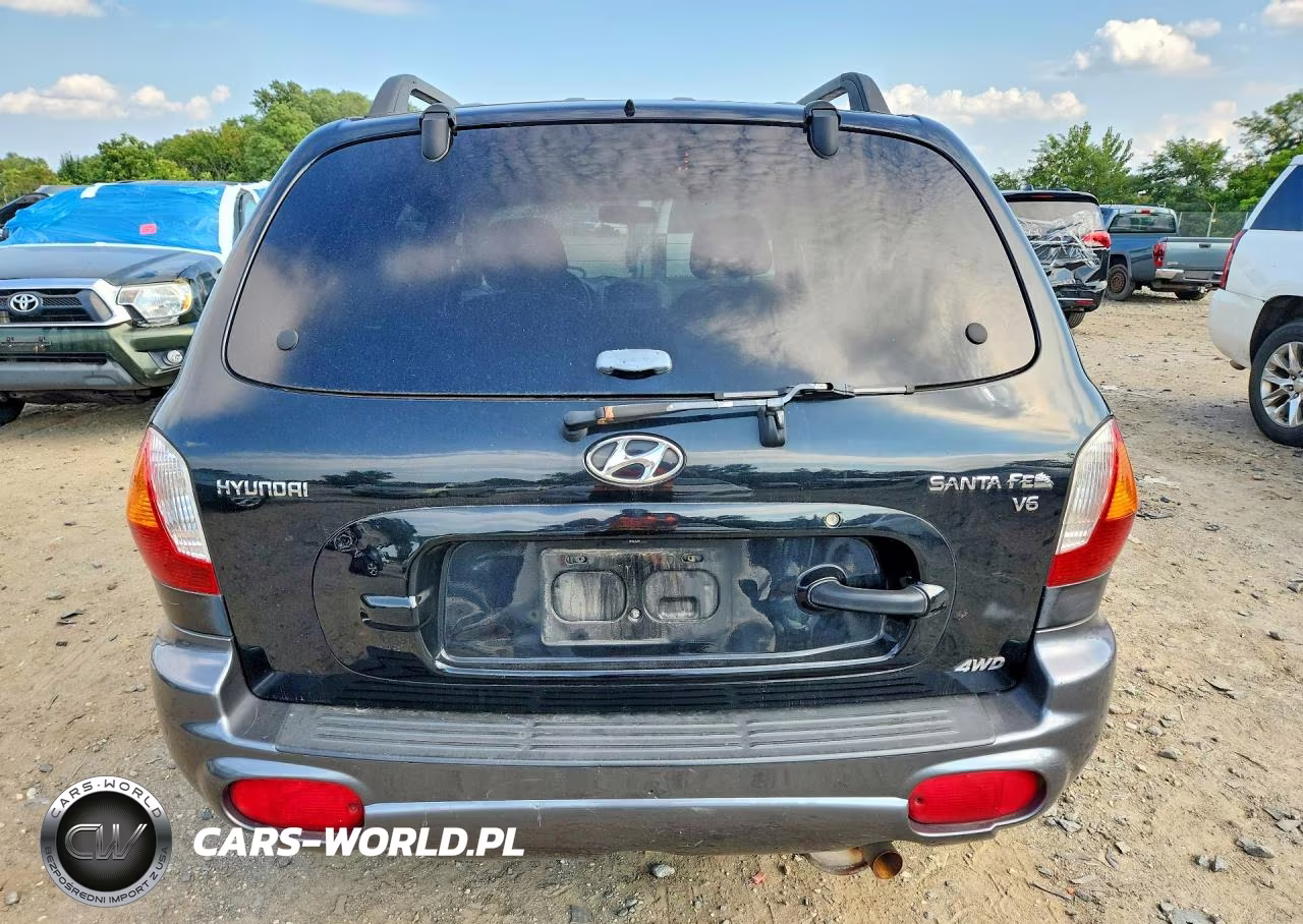 2003 Hyundai Santa Fe Gls VIN:KM8SC73D13U547102 - 6