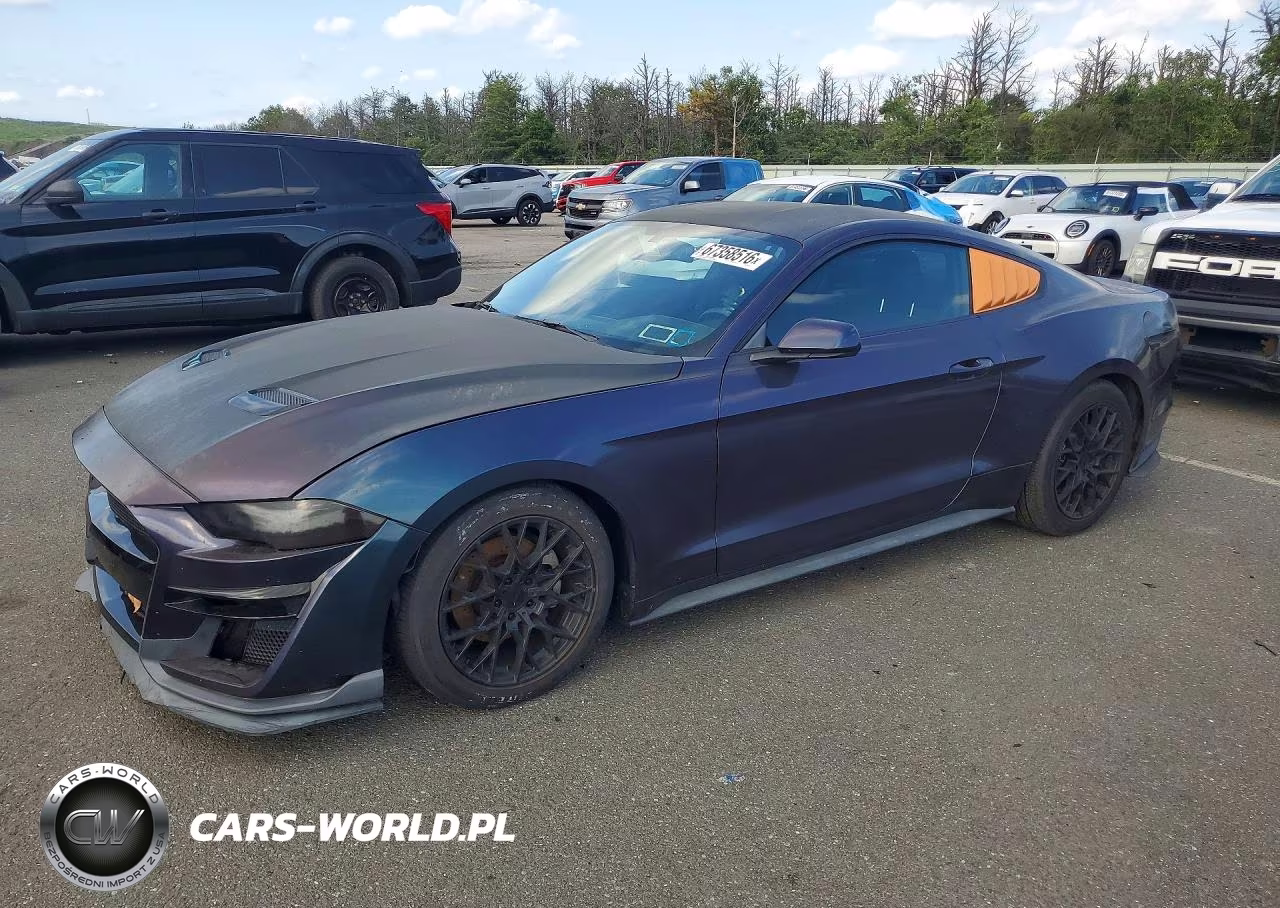 2019 Ford Mustang