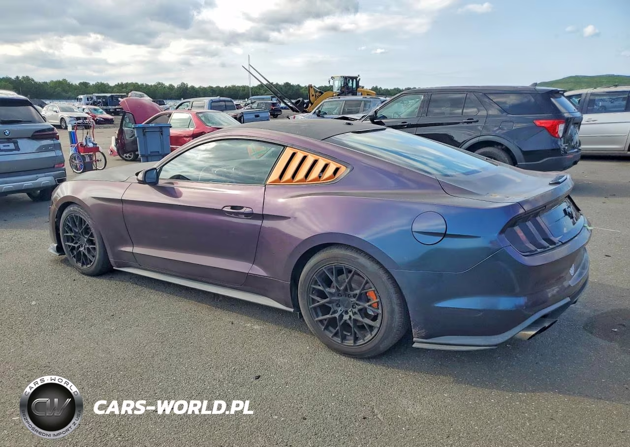 2019 Ford Mustang VIN:1FA6P8TH2K5156820 - 2