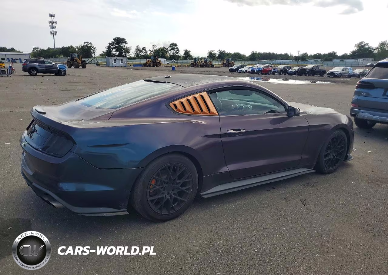 2019 Ford Mustang VIN:1FA6P8TH2K5156820 - 3