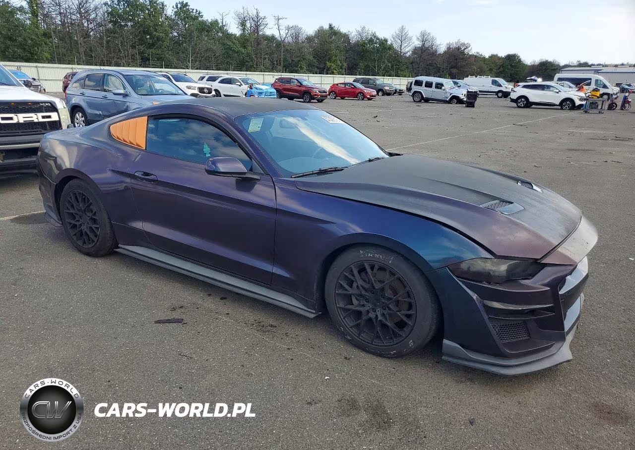 2019 Ford Mustang VIN:1FA6P8TH2K5156820 - 4