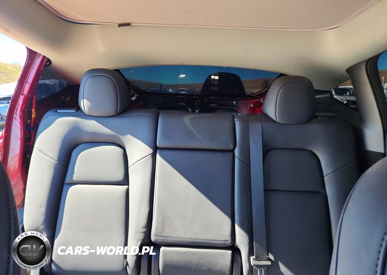 2025 Tesla Model Y VIN:7SAYGDEF3SF258006 - 10