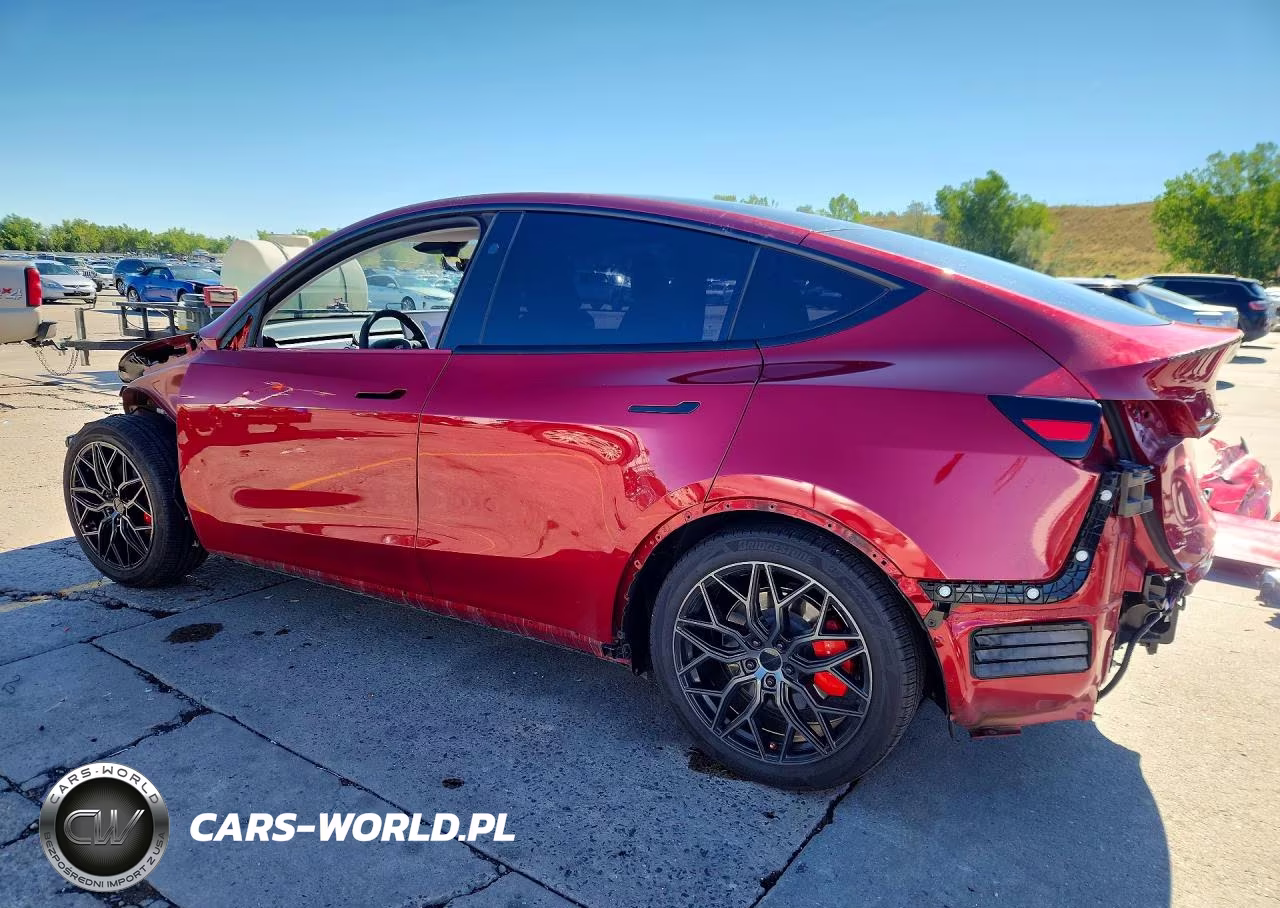 2025 Tesla Model Y VIN:7SAYGDEF3SF258006 - 2