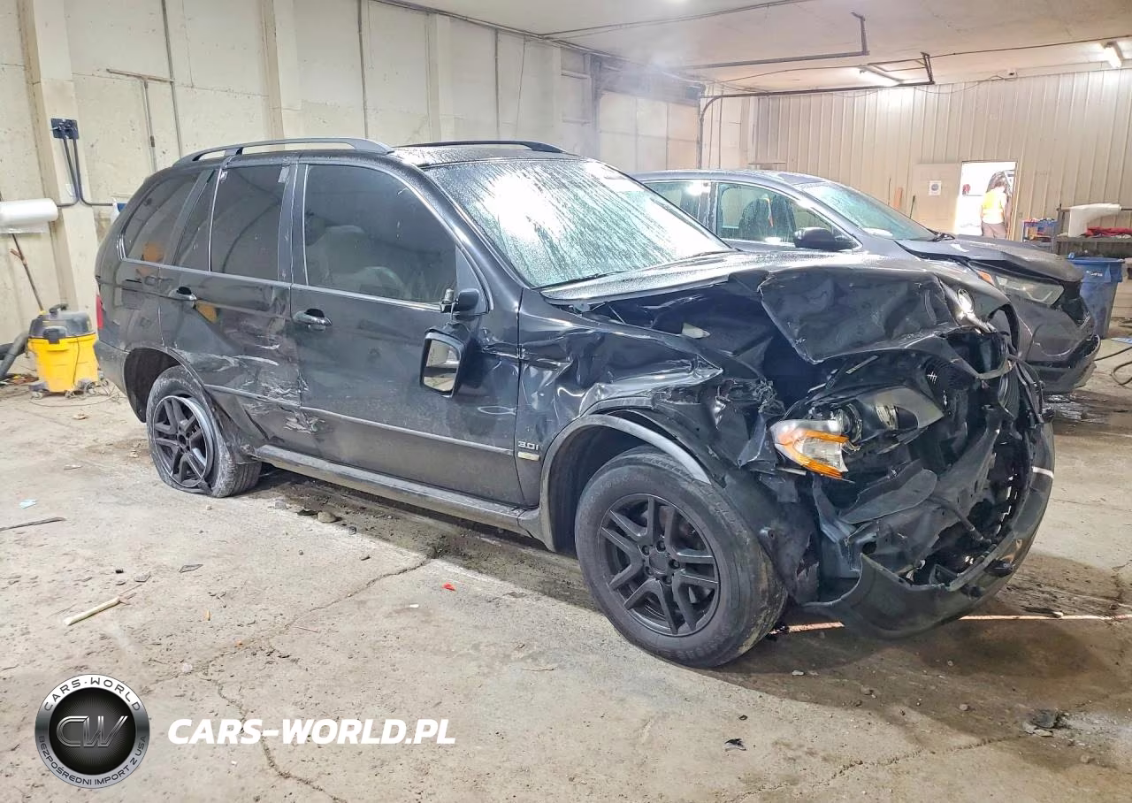 2005 BMW X5 3.0I VIN:5UXFA135X5LY12897 - 4
