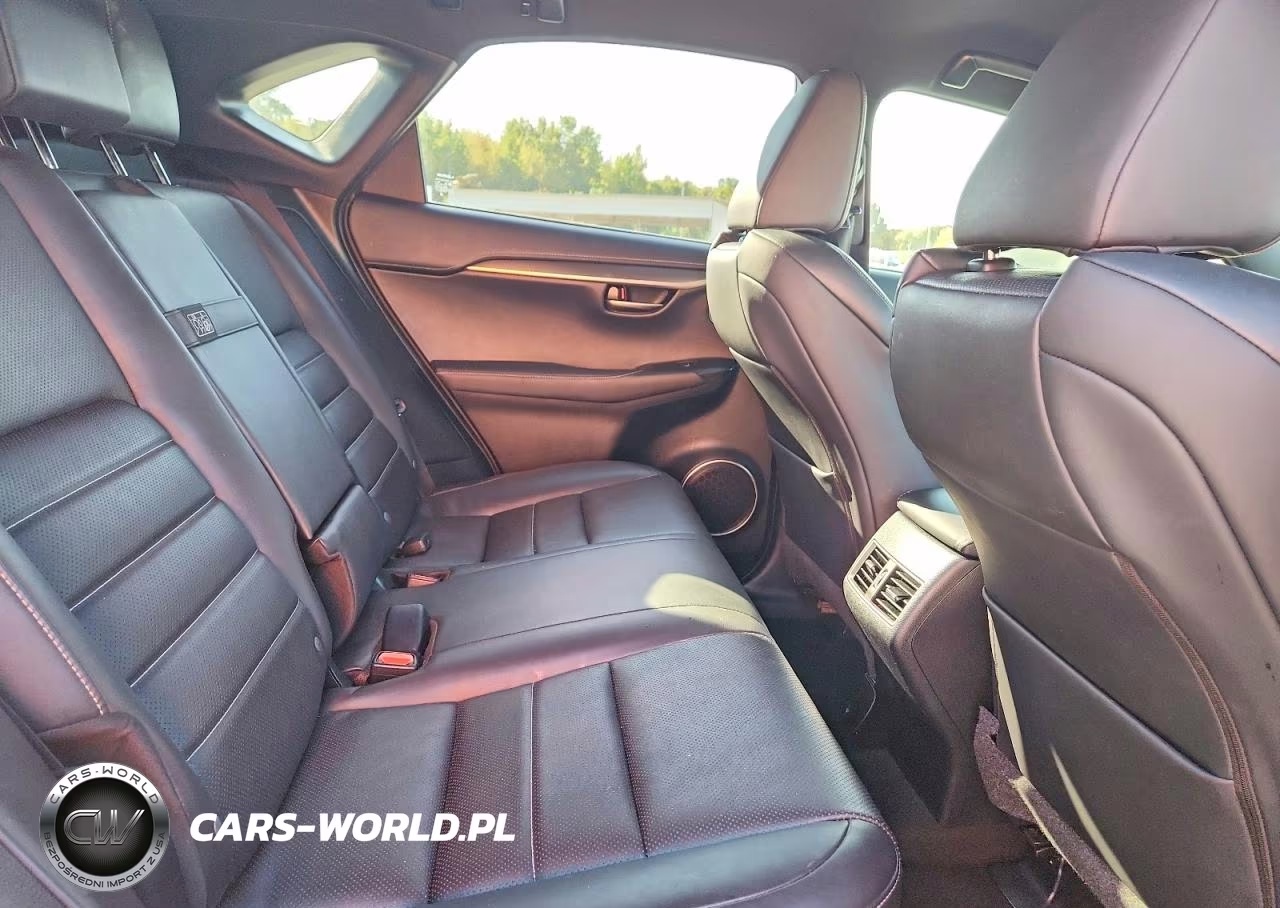 2019 Lexus Nx 300 F Sport VIN:JTJYARBZ5K2150366 - 11
