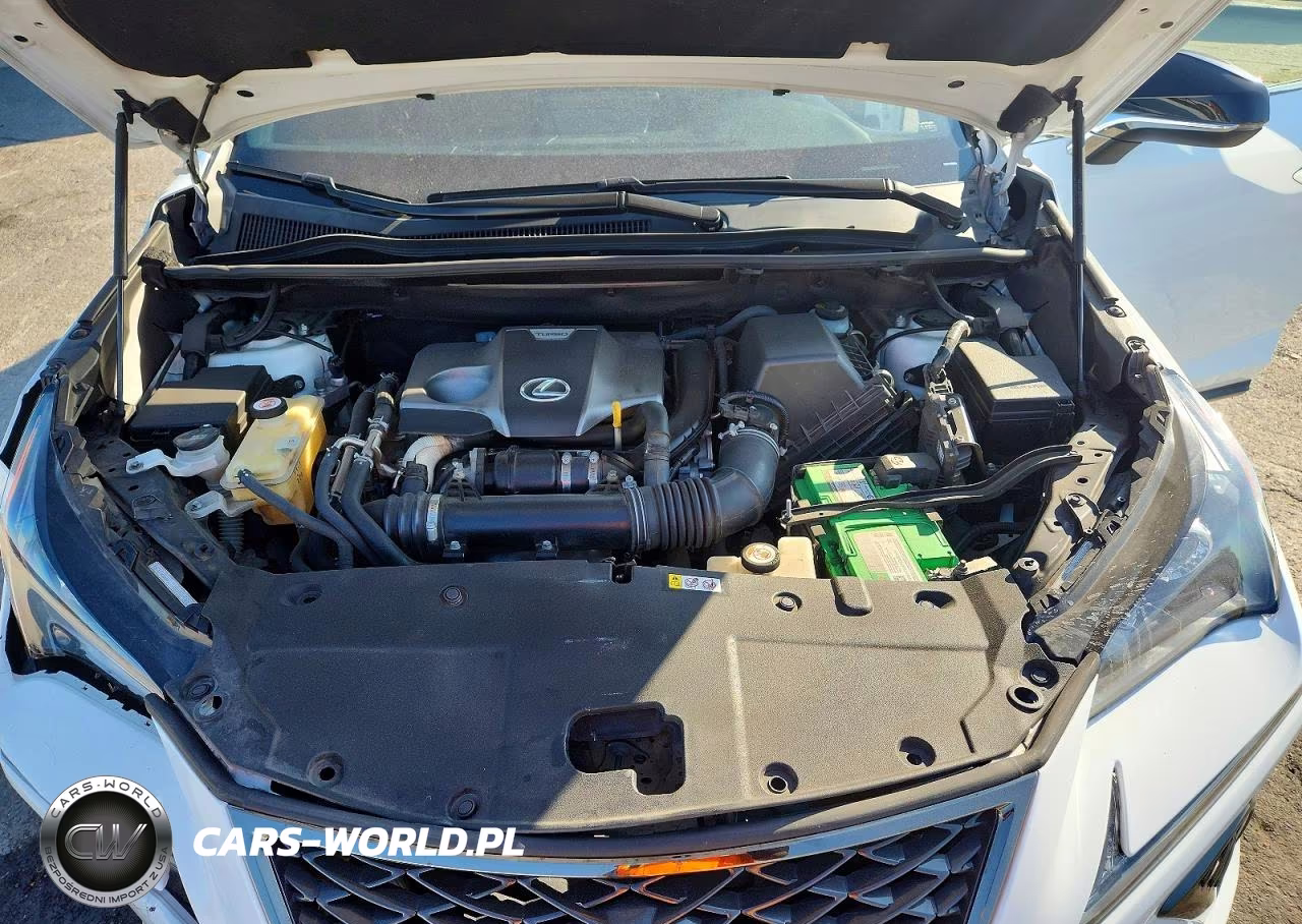 2019 Lexus Nx 300 F Sport VIN:JTJYARBZ5K2150366 - 12