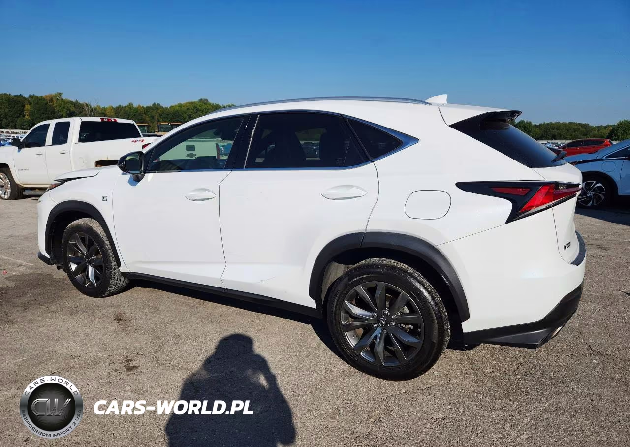 2019 Lexus Nx 300 F Sport VIN:JTJYARBZ5K2150366 - 2