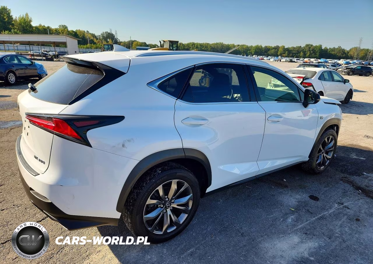 2019 Lexus Nx 300 F Sport VIN:JTJYARBZ5K2150366 - 3