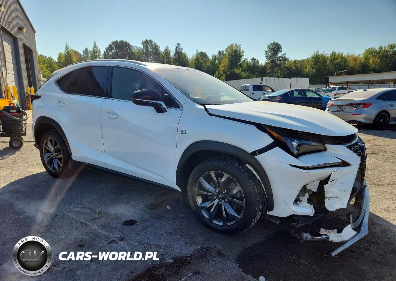 2019 Lexus Nx 300 F Sport VIN:JTJYARBZ5K2150366 - 4