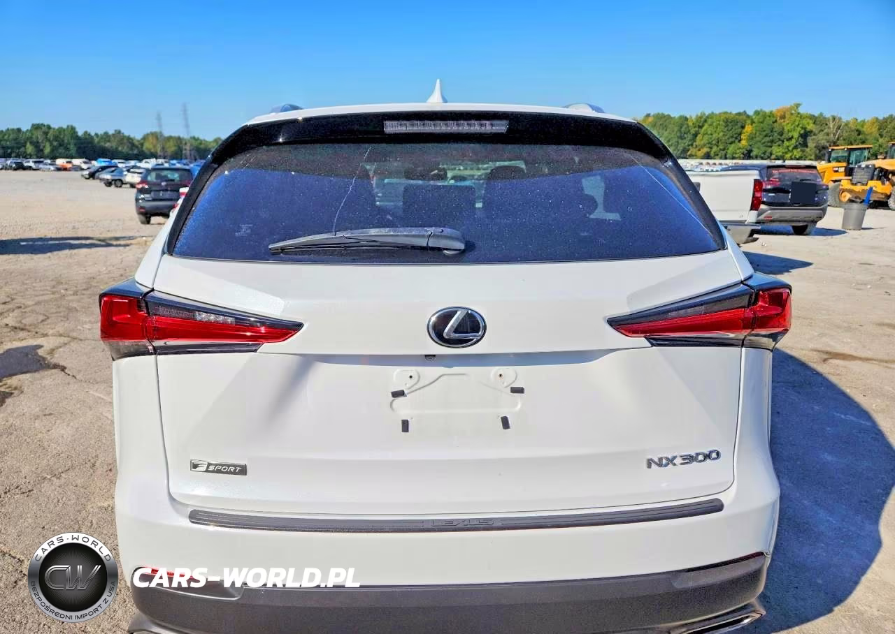 2019 Lexus Nx 300 F Sport VIN:JTJYARBZ5K2150366 - 6