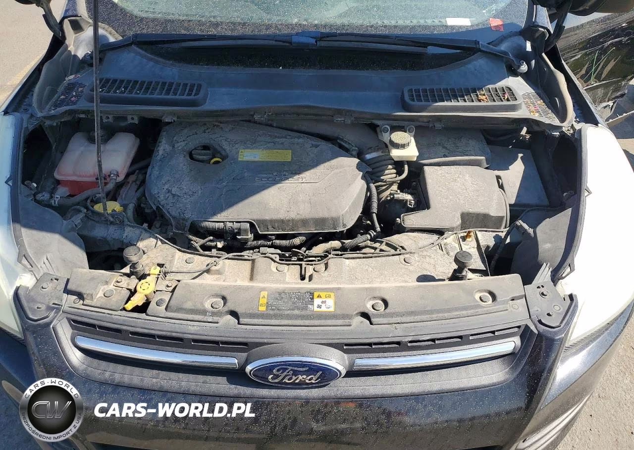 2013 Ford Escape Se VIN:1FMCU0GX7DUC37485 - 12