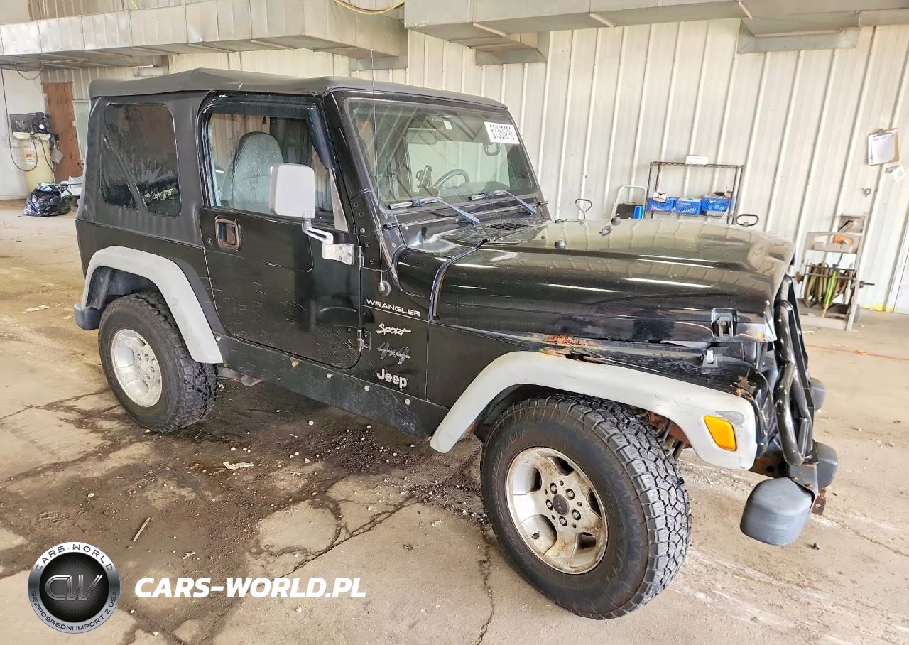 2002 Jeep Wrangler - Tj Sport VIN:1J4FA49S32P700151 - 4