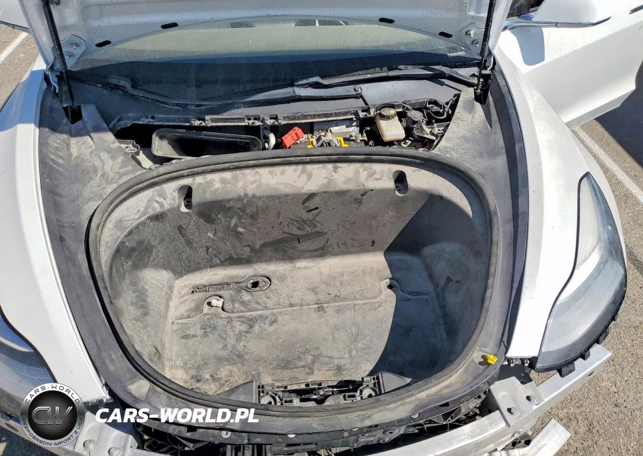 2020 Tesla Model 3 VIN:5YJ3E1EA2LF599009 - 11