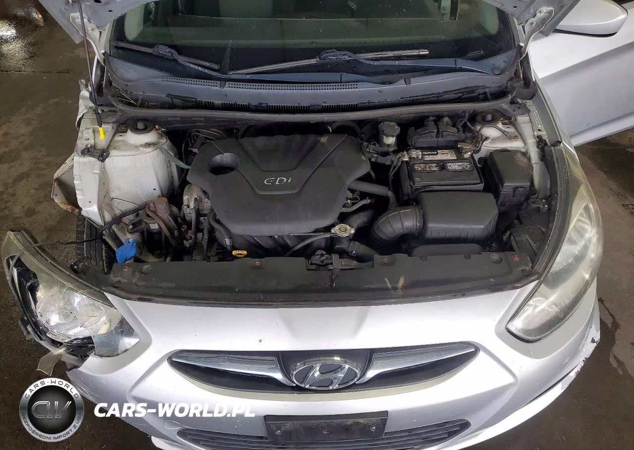 2013 Hyundai Accent Gs VIN:KMHCT5AE9DU062843 - 11