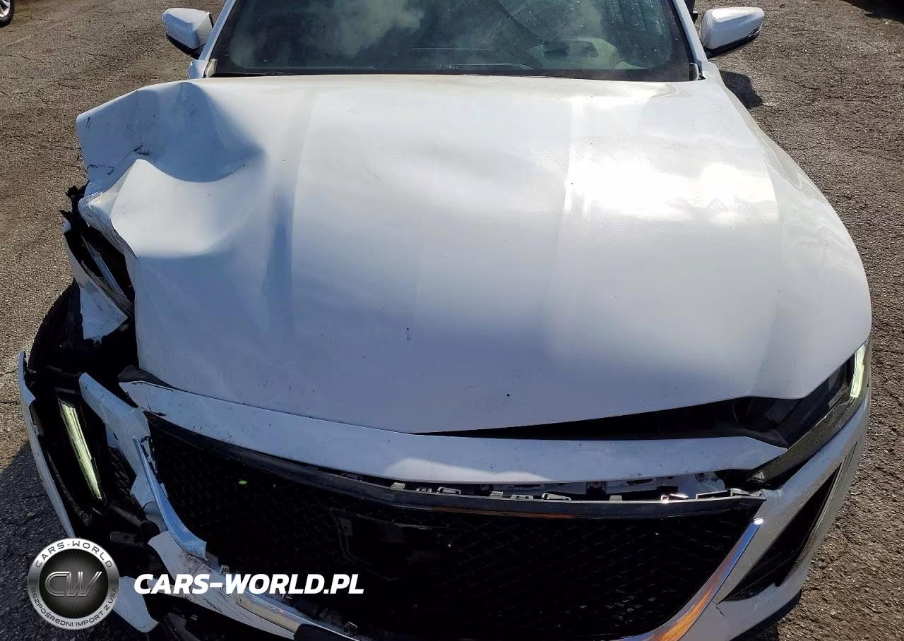2024 Cadillac Ct5 Sport VIN:1G6DP5RK1R0105208 - 11