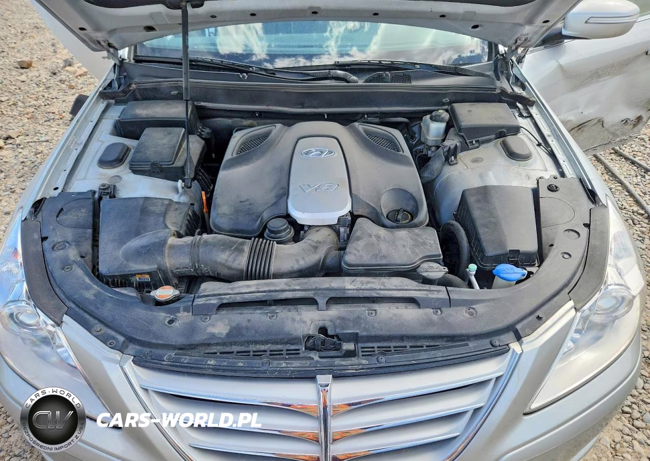 2009 Hyundai Genesis 4.6L VIN:KMHGC46F09U032330 - 11