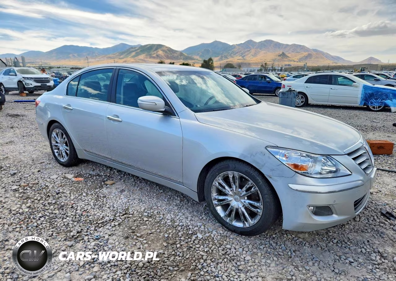 2009 Hyundai Genesis 4.6L VIN:KMHGC46F09U032330 - 4