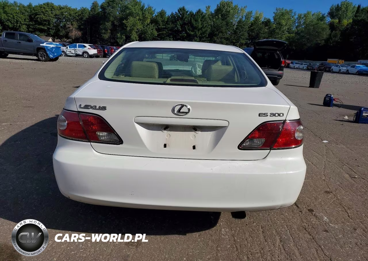 2003 Lexus Es 300 VIN:JTHBF30G030104383 - 6