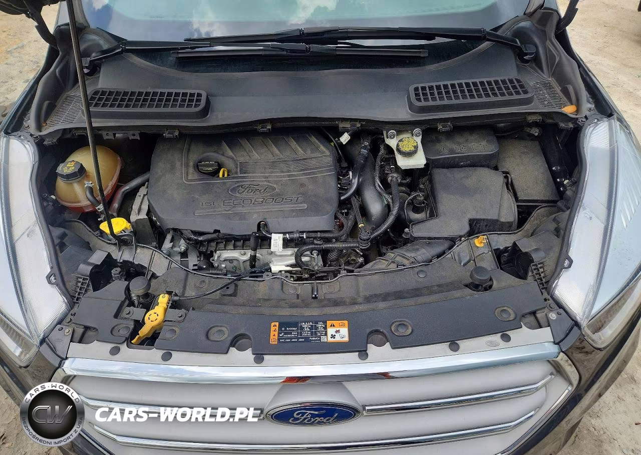 2017 Ford Escape Se VIN:1FMCU0GD4HUB06400 - 12