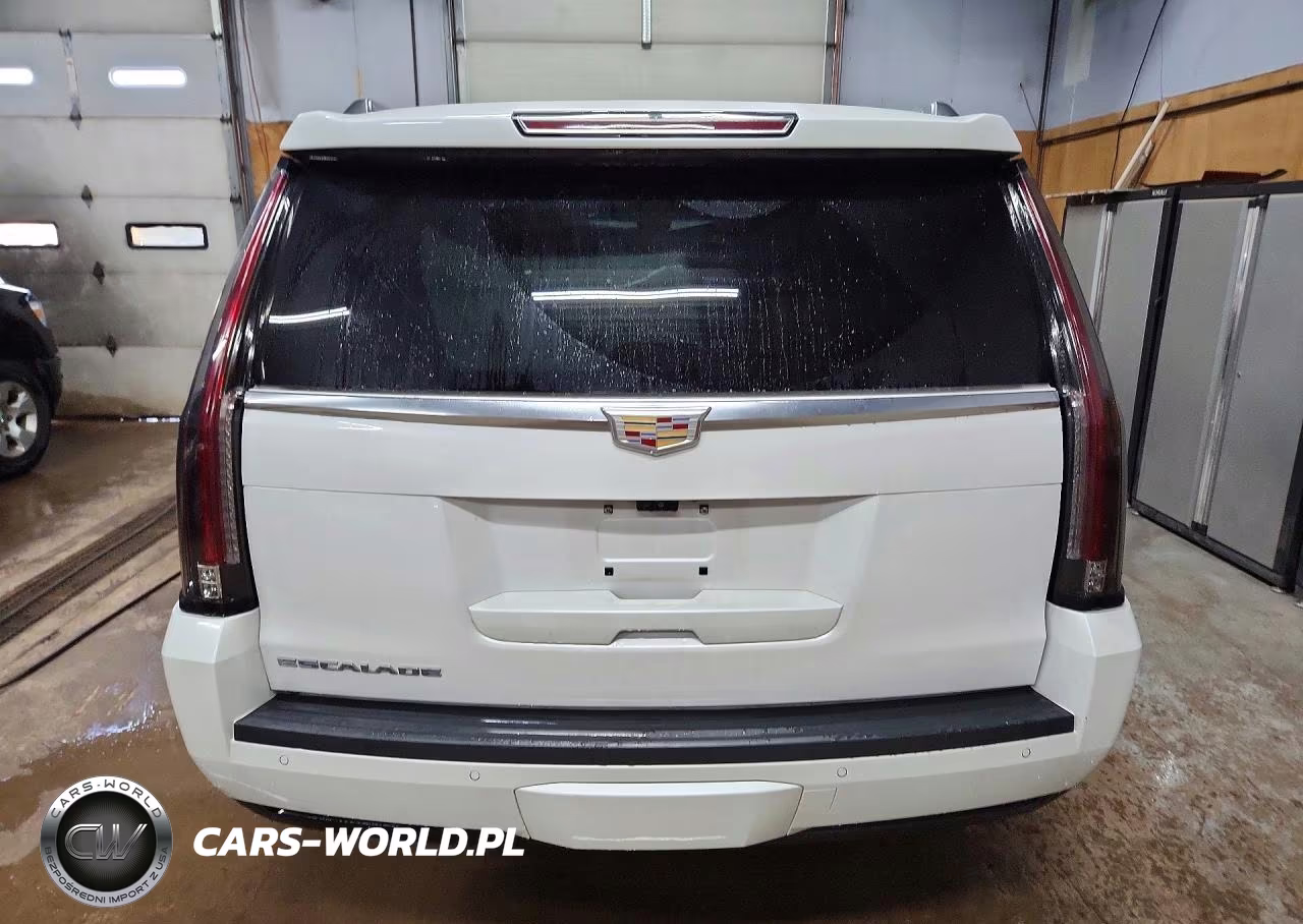 2019 Cadillac Escalade Esv Luxury VIN:1GYS4HKJ7KR373269 - 6