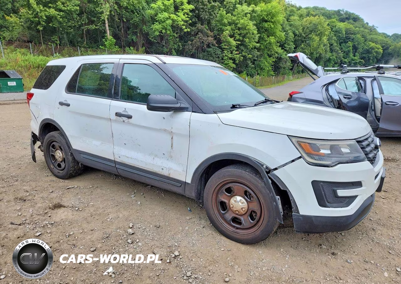 2019 Ford Explorer Police Interceptor VIN:1FM5K8AR1KGA29685 - 4