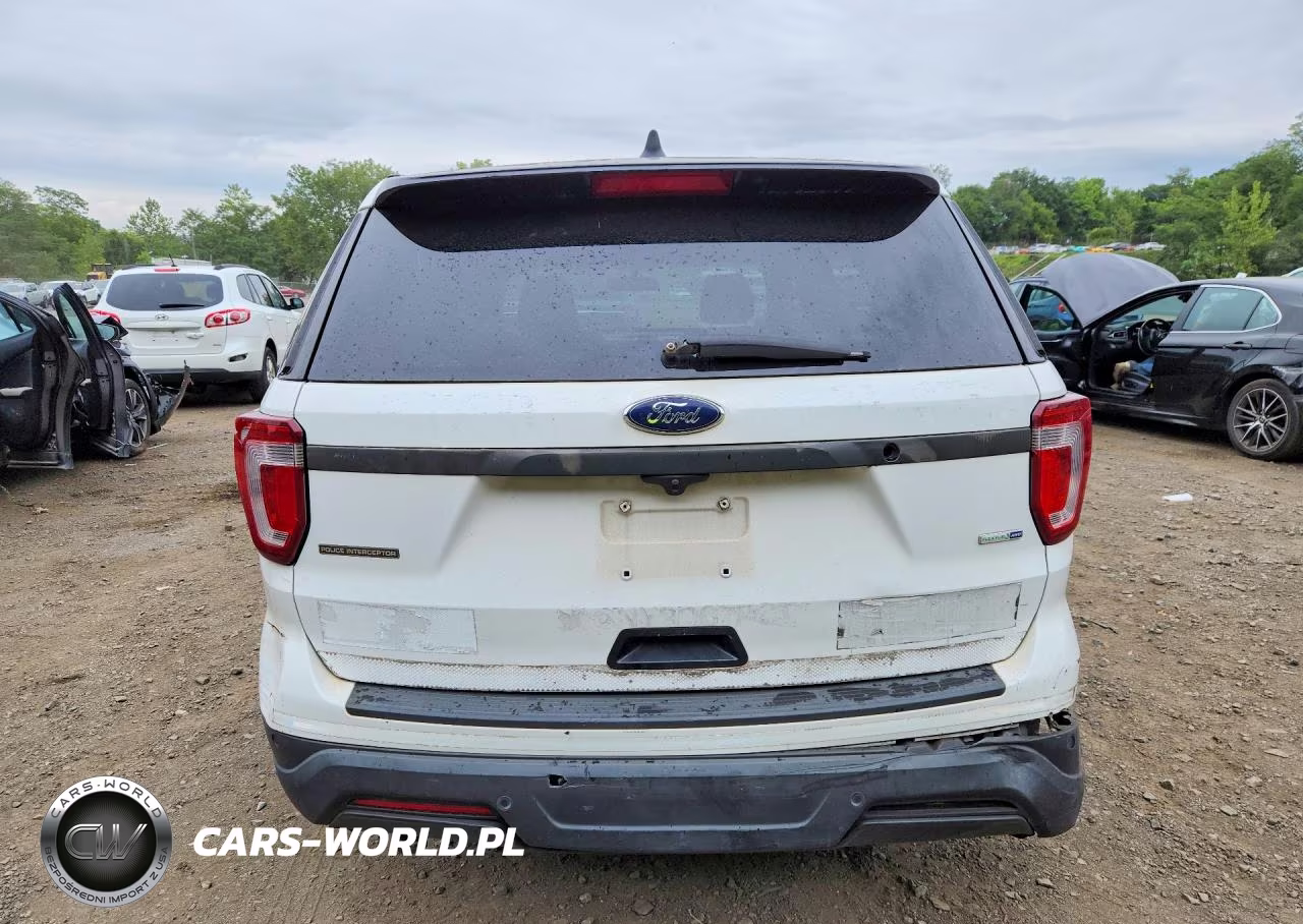 2019 Ford Explorer Police Interceptor VIN:1FM5K8AR1KGA29685 - 6