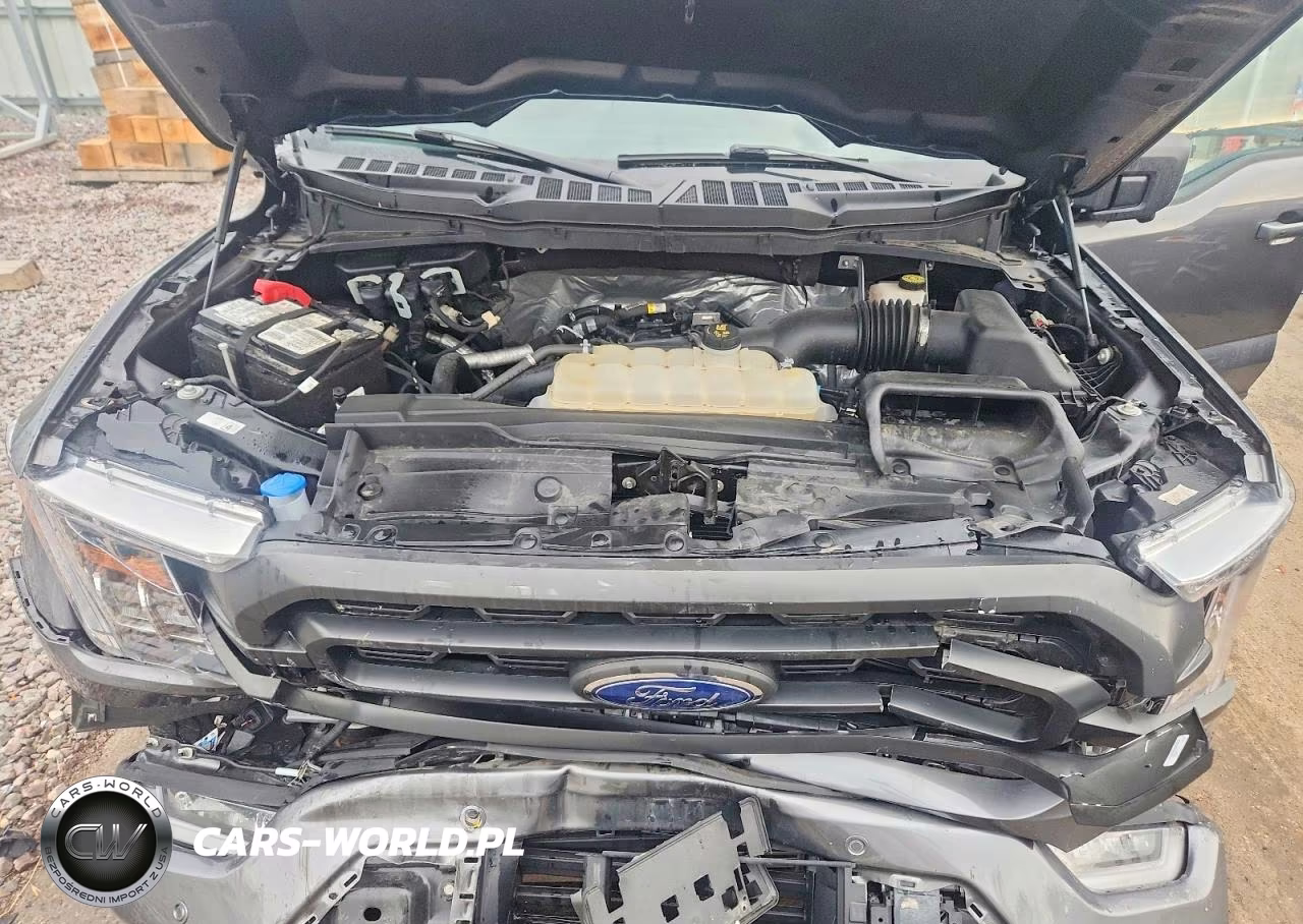 2023 Ford F150 Supercrew VIN:1FTEW1EP5PFA77681 - 11