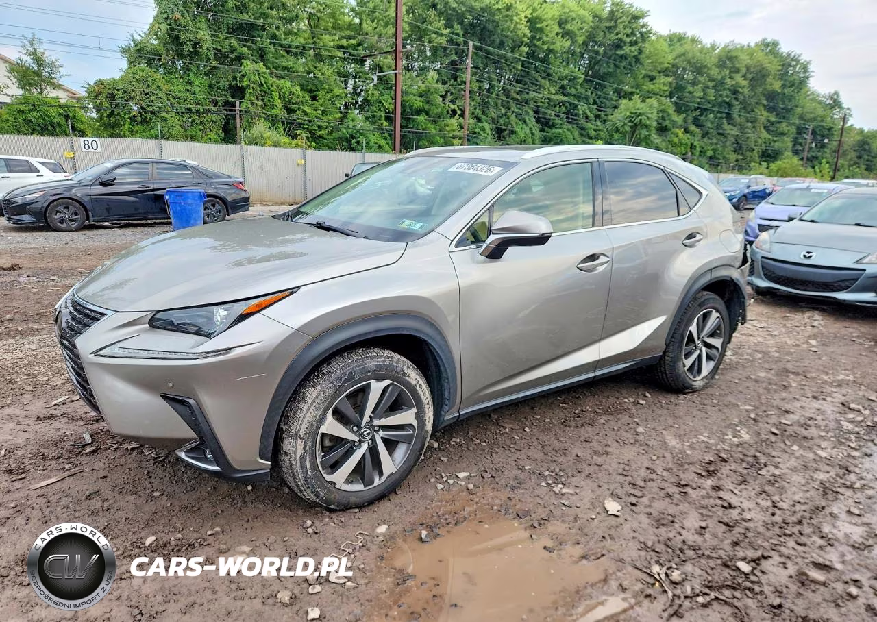 2019 Lexus Nx 300 Base