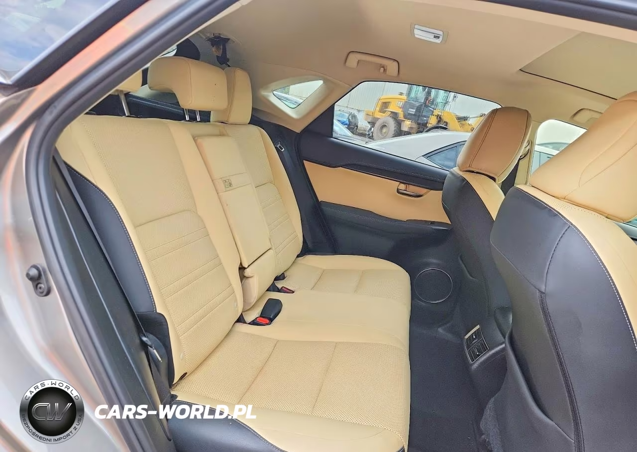 2019 Lexus Nx 300 Base VIN:JTJBARBZ2K2191429 - 11