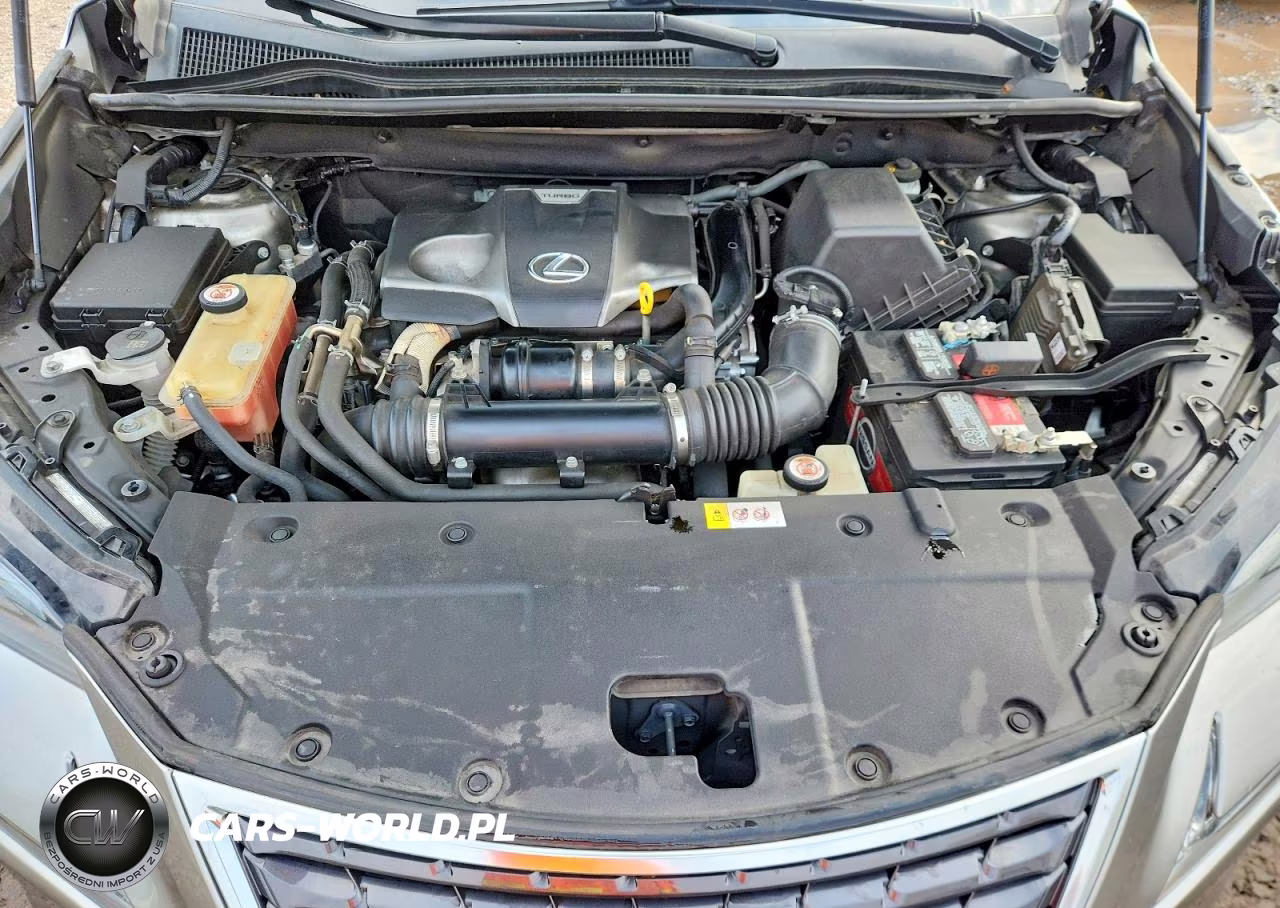 2019 Lexus Nx 300 Base VIN:JTJBARBZ2K2191429 - 12