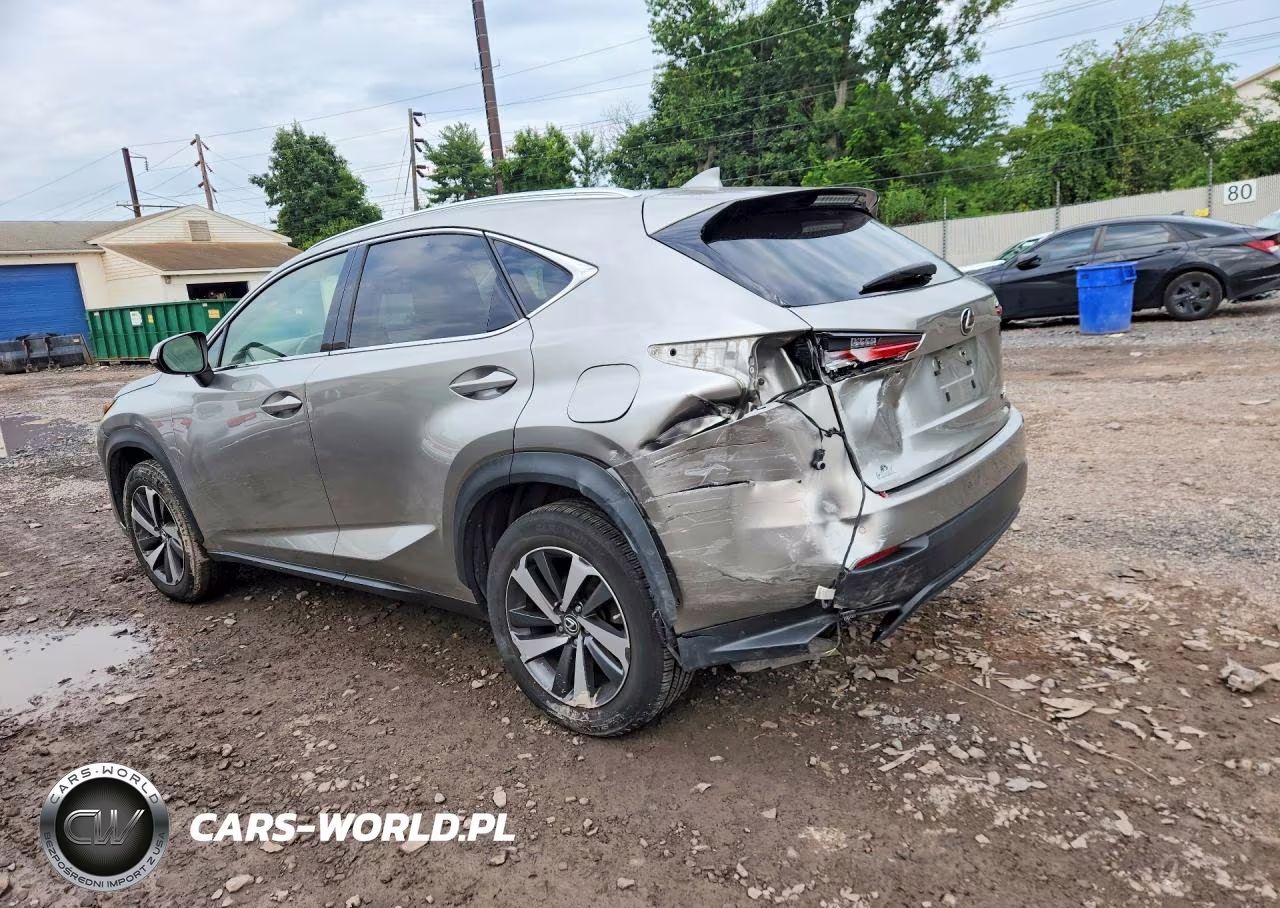 2019 Lexus Nx 300 Base VIN:JTJBARBZ2K2191429 - 2