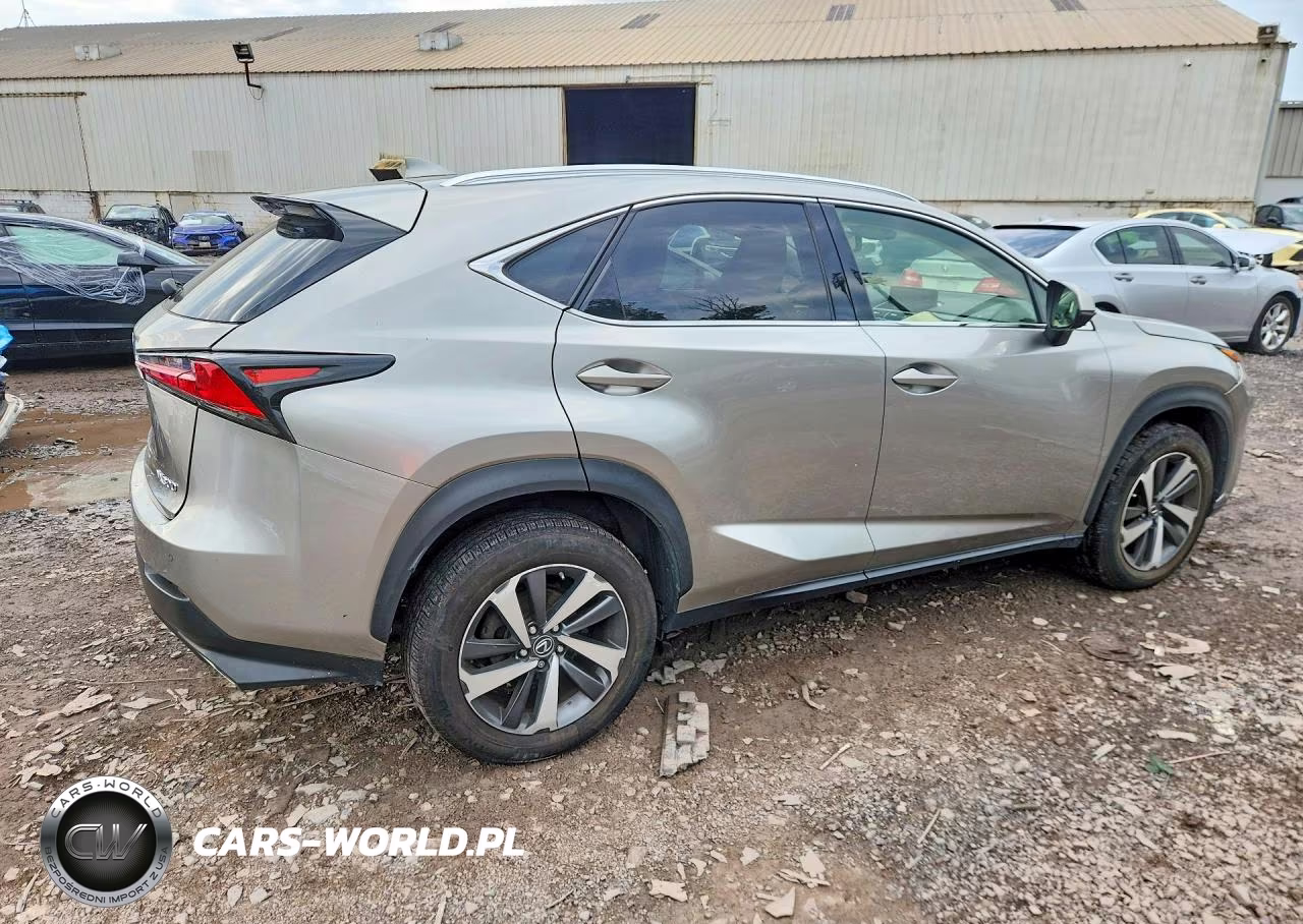 2019 Lexus Nx 300 Base VIN:JTJBARBZ2K2191429 - 3