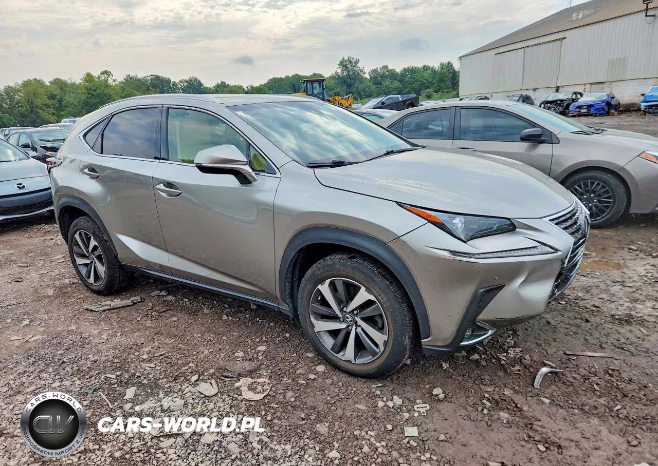 2019 Lexus Nx 300 Base VIN:JTJBARBZ2K2191429 - 4