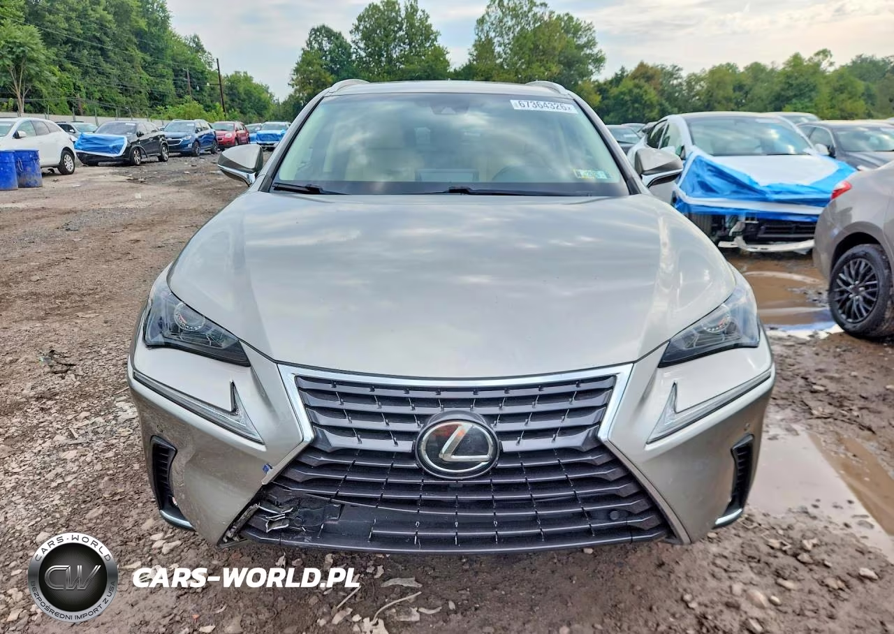 2019 Lexus Nx 300 Base VIN:JTJBARBZ2K2191429 - 5
