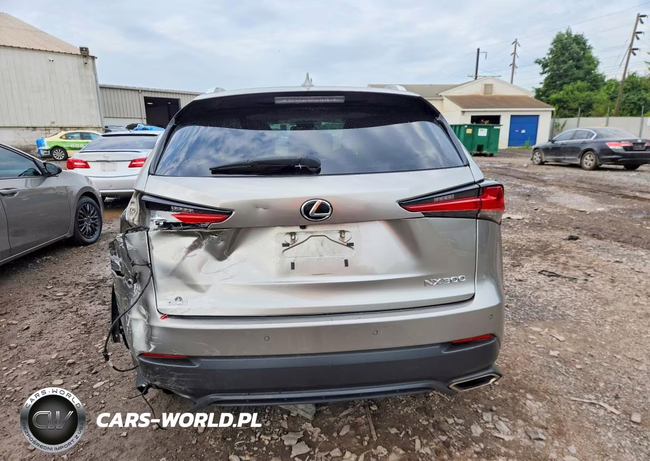 2019 Lexus Nx 300 Base VIN:JTJBARBZ2K2191429 - 6