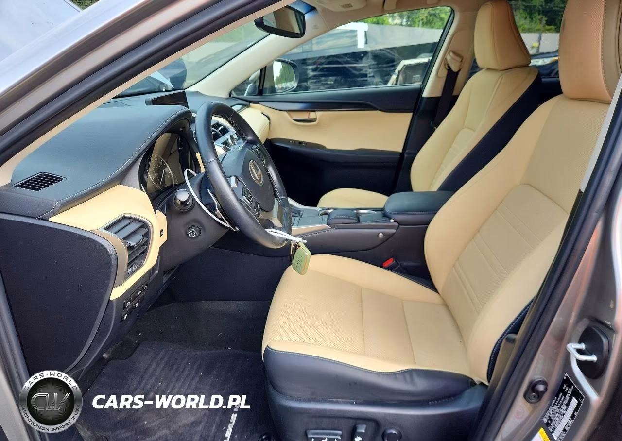 2019 Lexus Nx 300 Base VIN:JTJBARBZ2K2191429 - 7