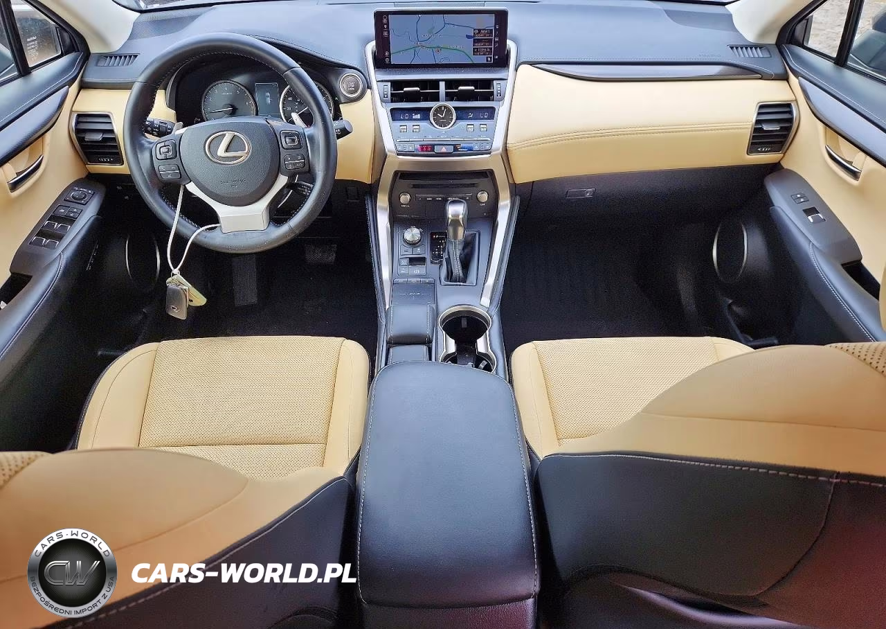 2019 Lexus Nx 300 Base VIN:JTJBARBZ2K2191429 - 8