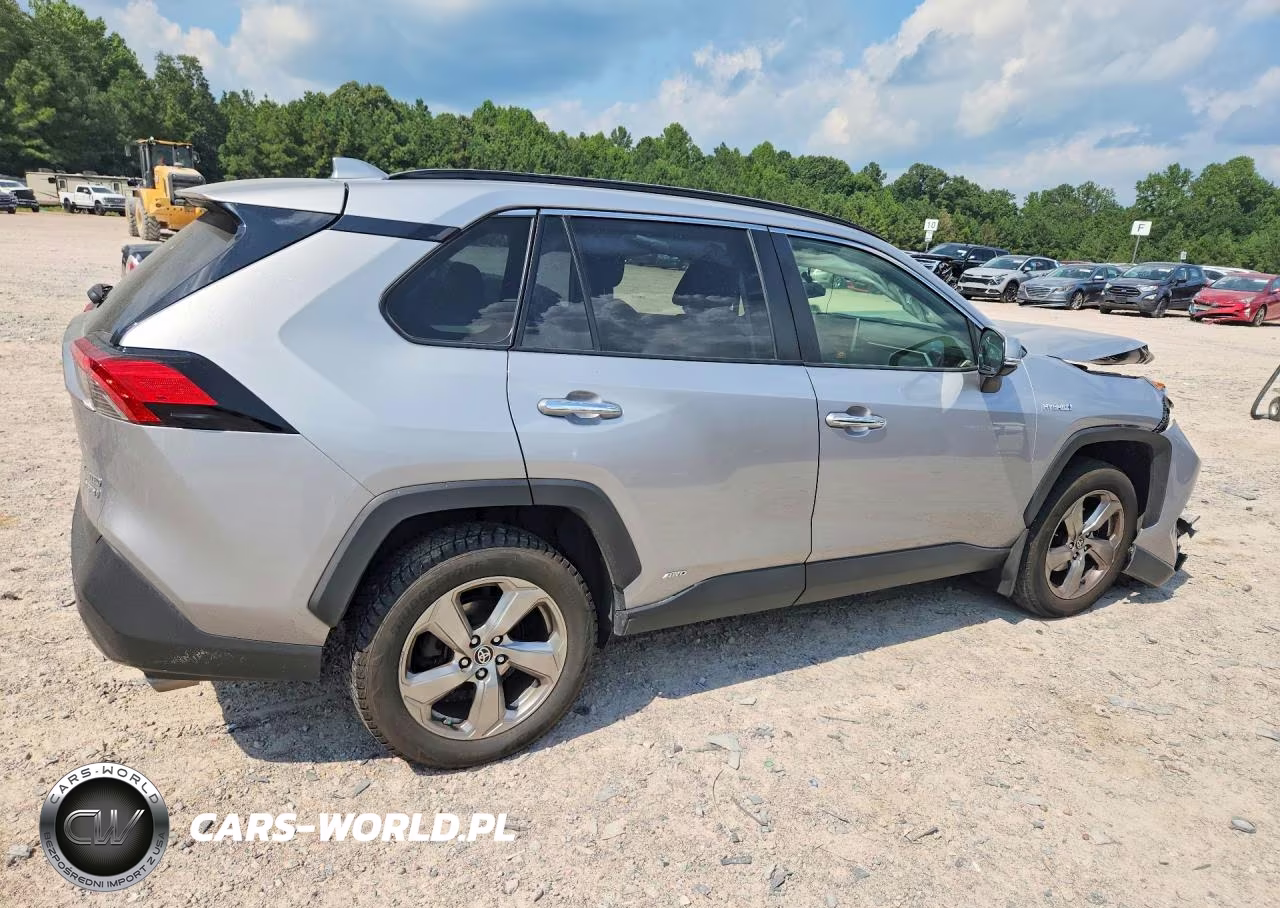 2019 Toyota Rav4 Limited VIN:JTMDWRFV3KD036297 - 3